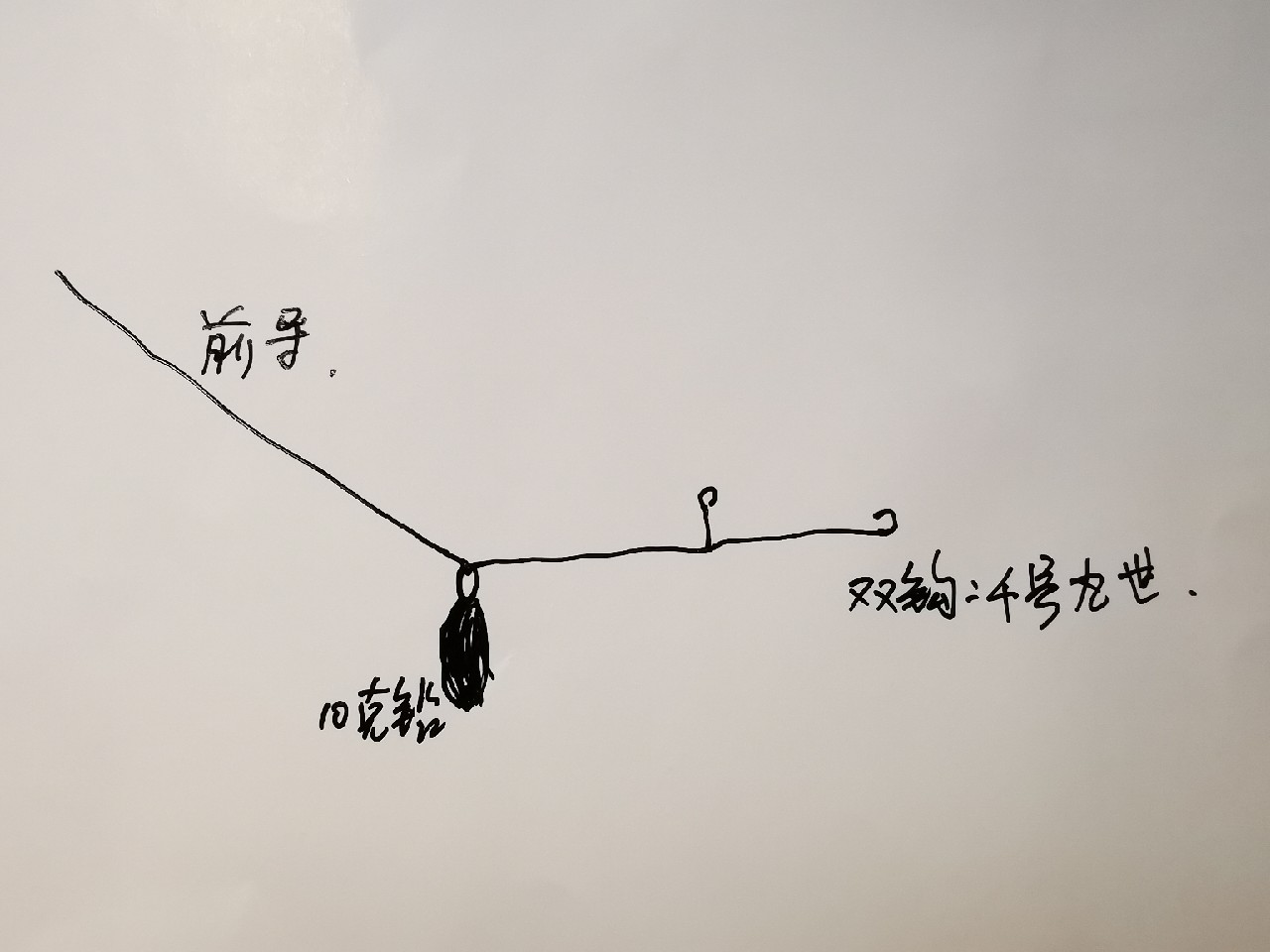 游姿优美的观赏鱼,木兰花乡风景区钓鱼