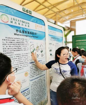 清凉一夏避暑溜娃好去处,上海遛娃推荐夏日避暑好去处