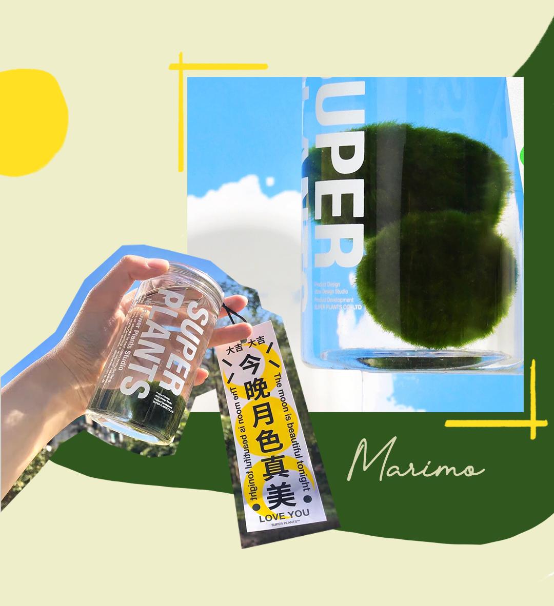 淘宝收藏过的店铺,淘宝以前收藏的店铺