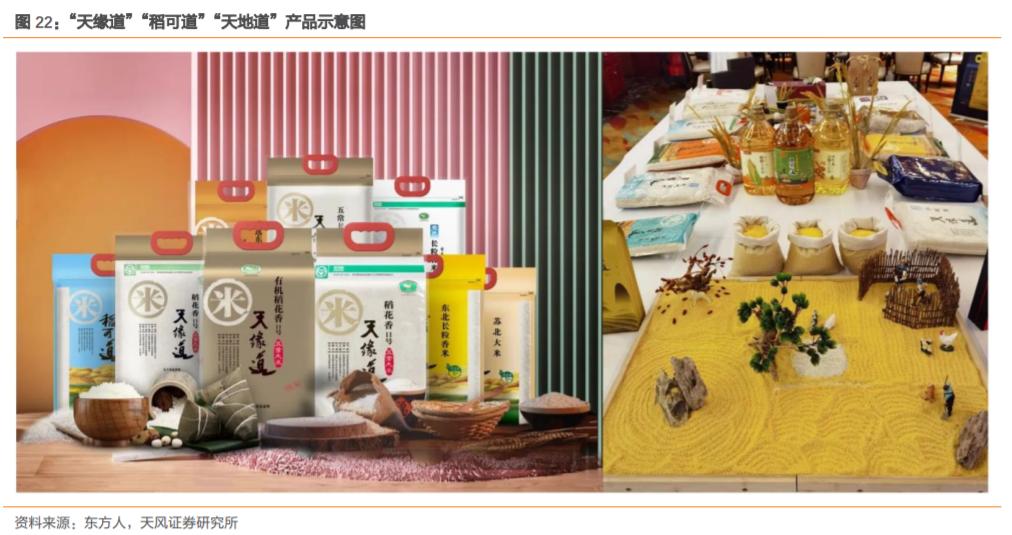 东方集团600811股票会涨吗,600811东方集团一季报