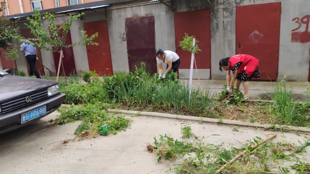 创城工作志愿服务活动通知,创城志愿服务有你有我