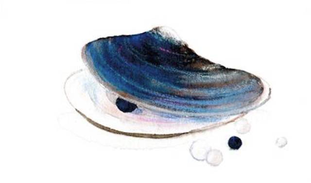 海洋护肤成分,深海植物护肤精粹