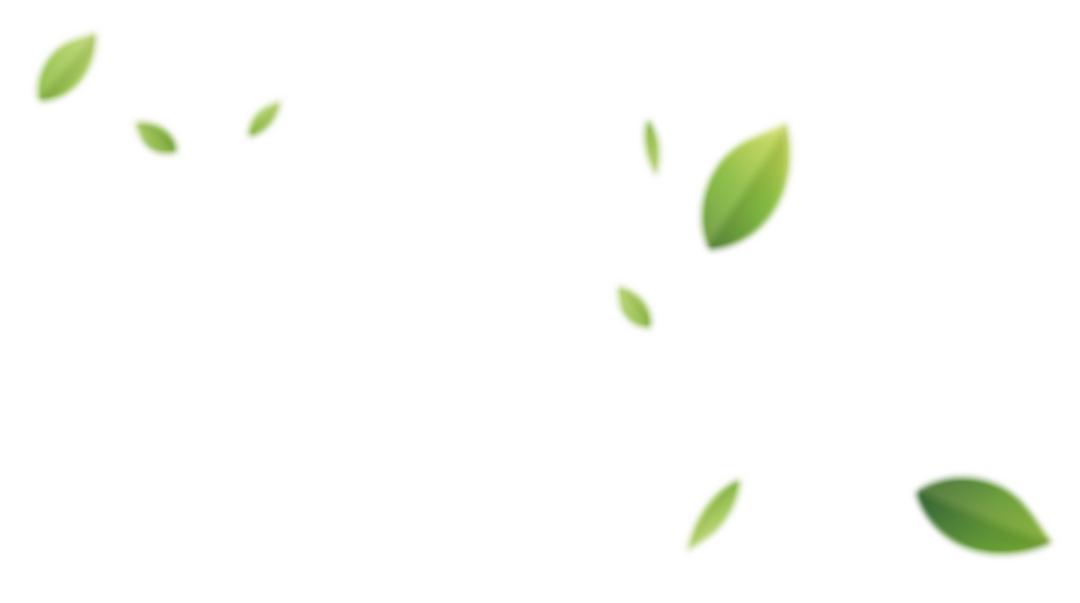 绝了！这个闵行人在薄如蝉翼的叶脉上作画