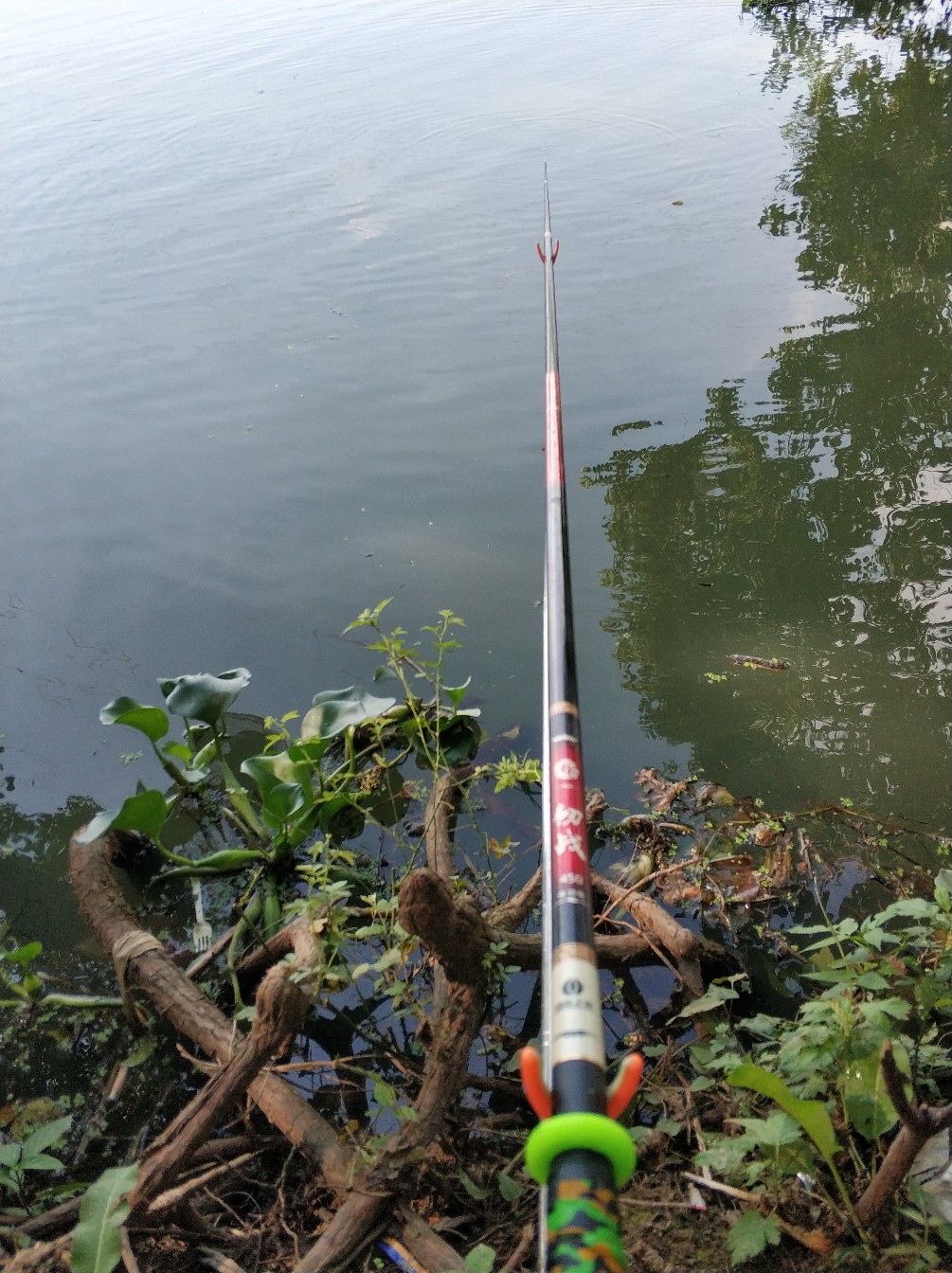 钓鱼人818完整视频,钓鱼人818攻略