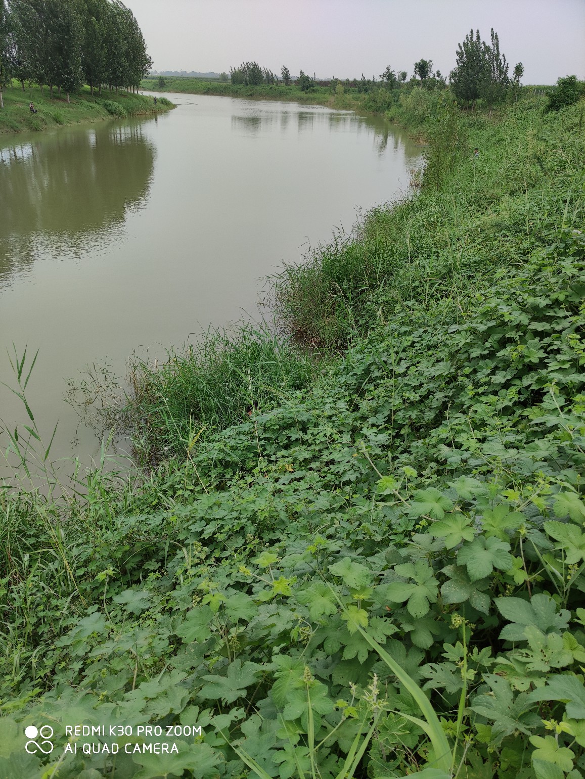 调钓如何快速掌握鱼钩的重量,钓鱼怎么可以增加鱼钩的粘钩性