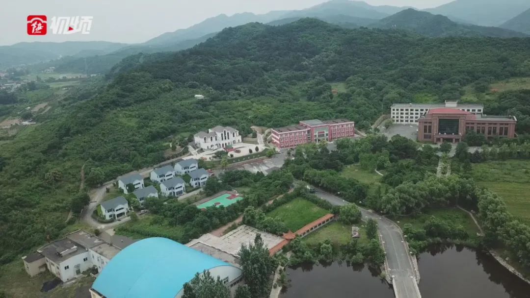 攻坚克难共谋发展,奋力实现辽宁全面振兴