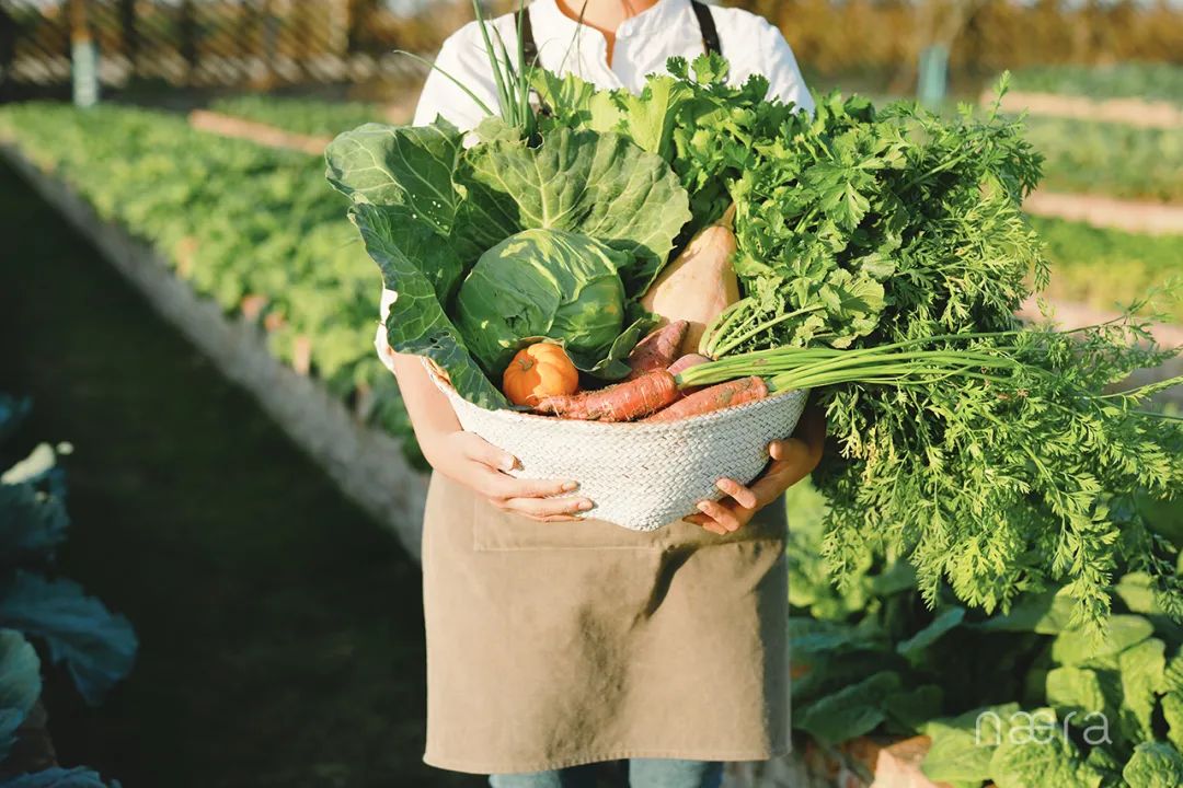 西塘游玩推荐的酒店,西塘古镇风景最好的酒店