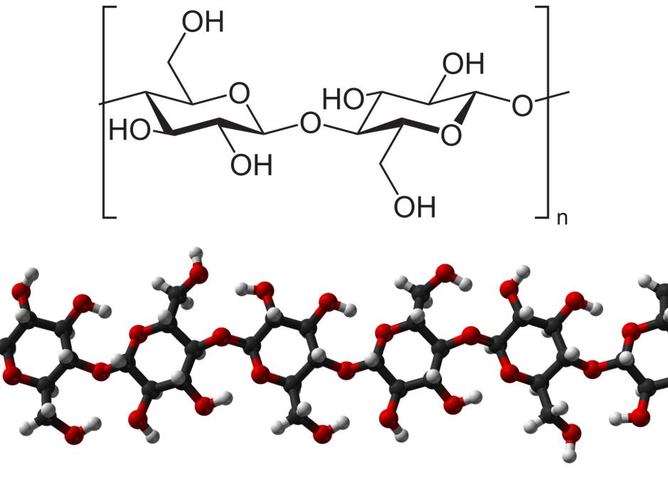 衣服总是皱巴巴的,衣服为啥老是很皱发黄