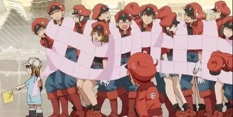 衣服总是皱巴巴的,衣服为啥老是很皱发黄