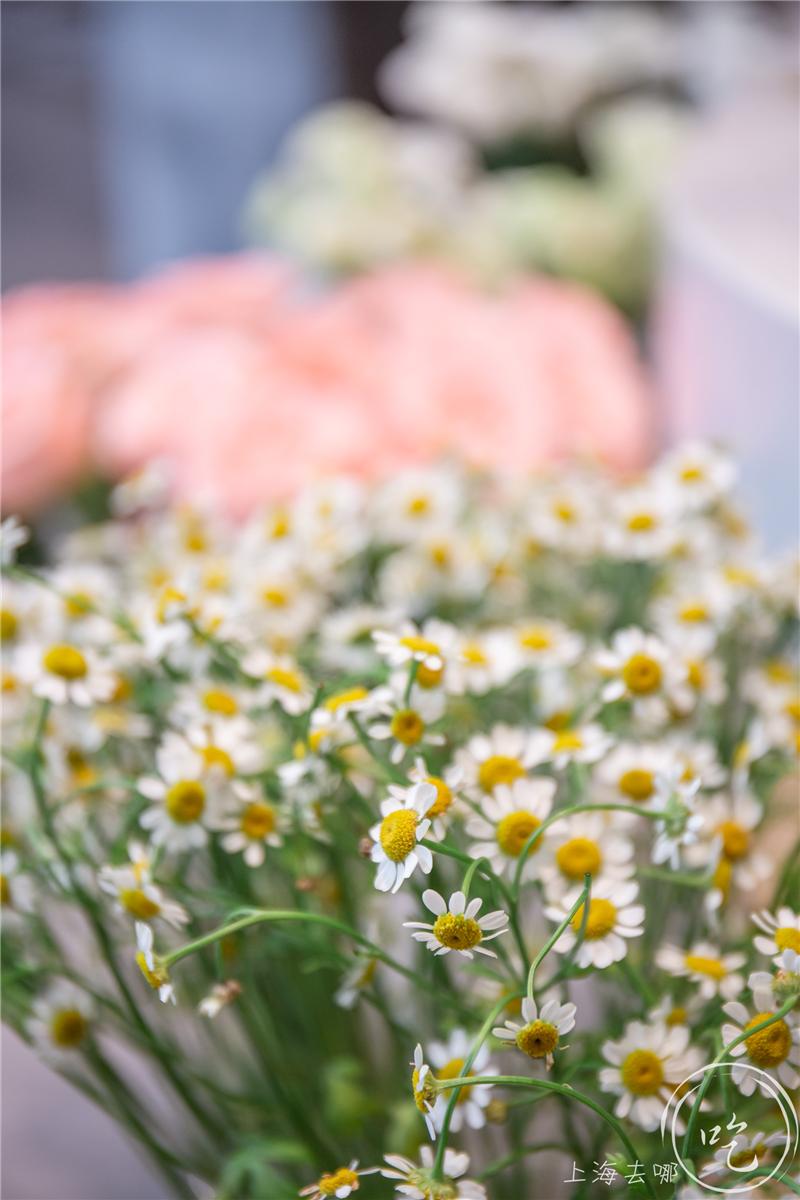 港式茶餐厅水晶虾饺,香港正宗点心虾饺