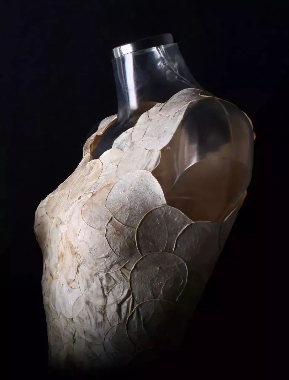 黑科技可拍照,黑科技拍照真实图片