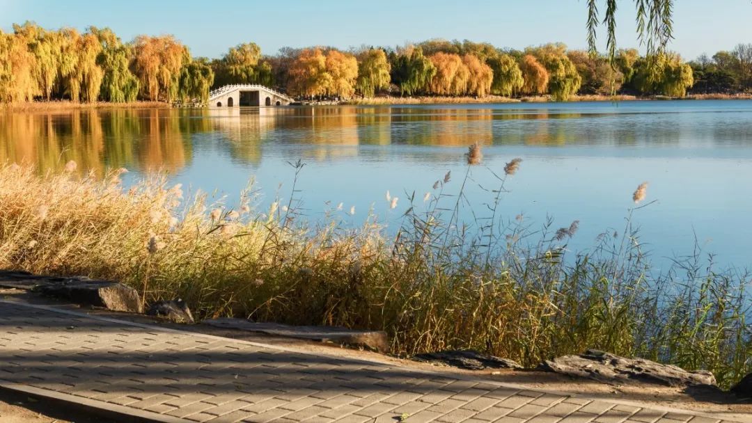 触动心灵的圆明园,人间天堂粤语男声版