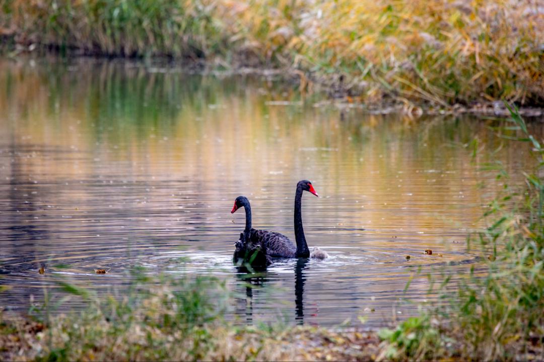 触动心灵的圆明园,人间天堂粤语男声版