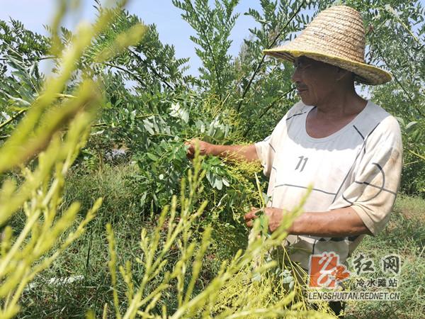 走向我们的小康致富路,走向我们的小康新生活
