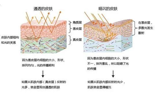 家用注氧仪到底有没有效果,日本谷心注氧仪真的有用么
