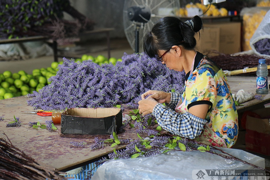 钟山县供电,钟山电网