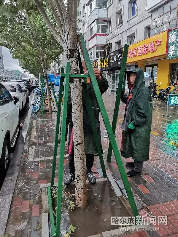“巴威”到哈即“停编”,但是暴雨没完丨有站点累计降水量超70毫米