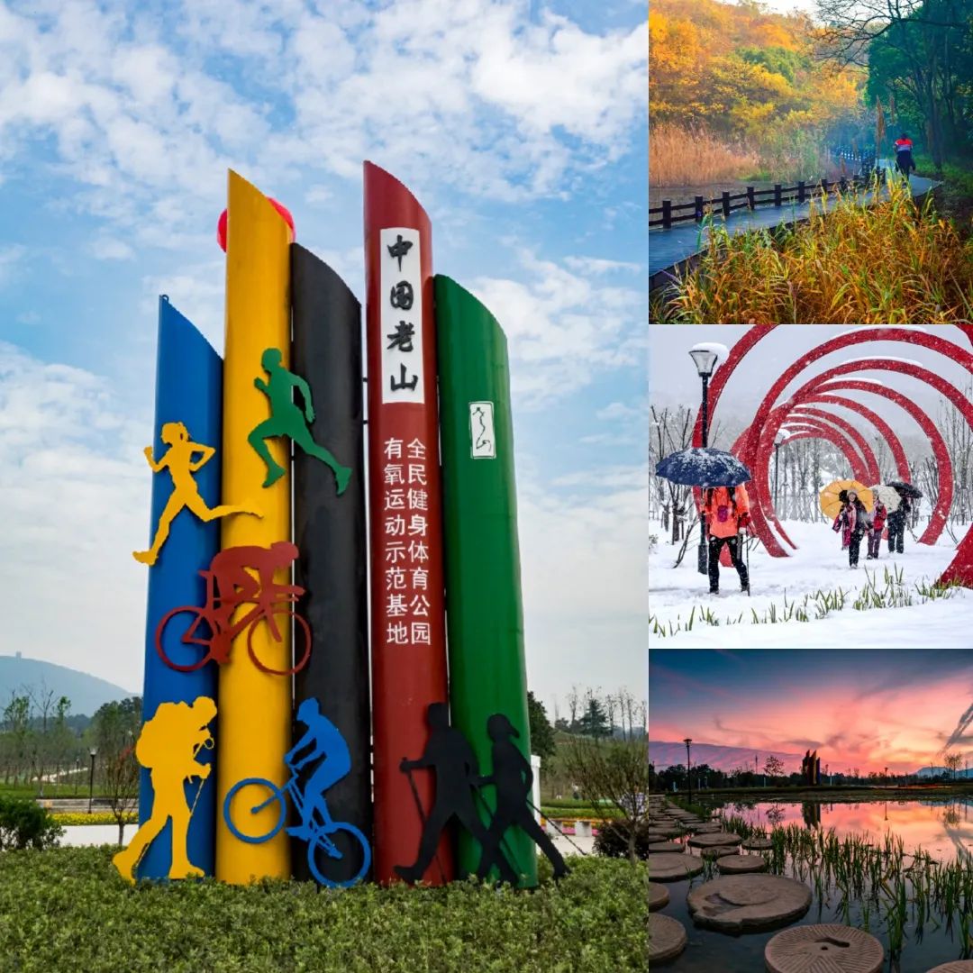 音你而来张碧晨音乐节,2020老山森林音乐节