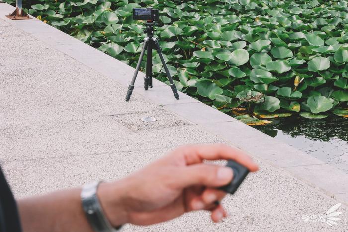 曼富图element碳纤维,曼富图element系列三脚架怎么样