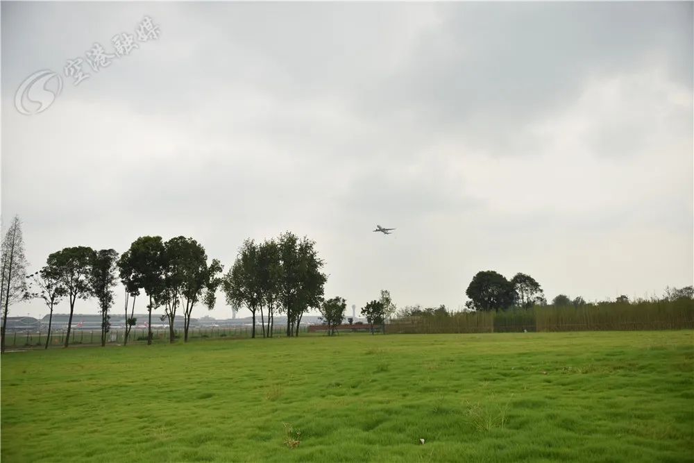 飞机的最佳观赏位置,看飞机的最佳场地