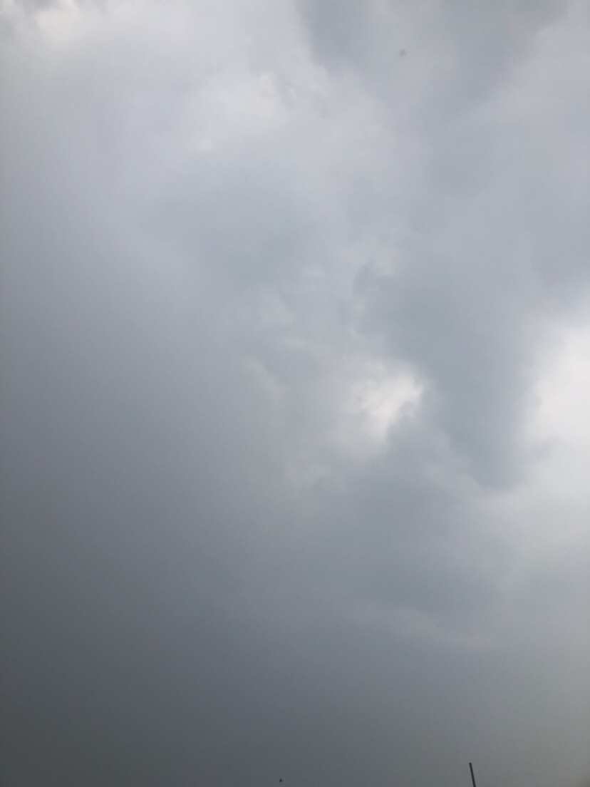 大风大浪钓大鱼完整视频,大风大浪钓大鱼是真的吗