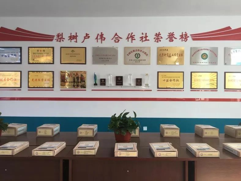 四平市梨树县黑土地保护项目,四平市梨树县黑土地保护项目施工