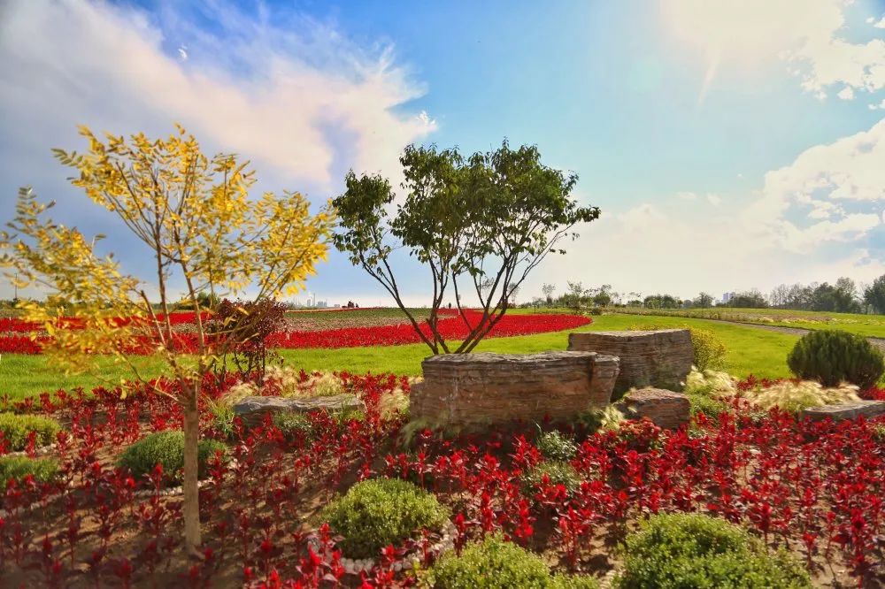 花田之约，醉美其中…