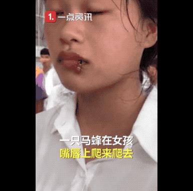 军训女学生被蜜蜂叮嘴,教官回应女生军训被蜜蜂咬脸