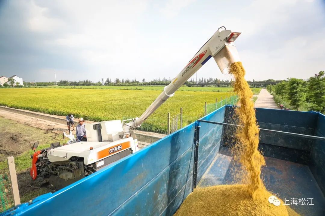 东方cj购物送货到家需几天,方便米饭全国发货