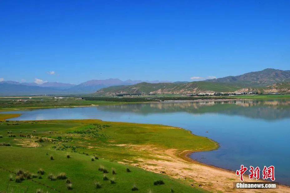 今日白露美句美文,今日白露五律诗