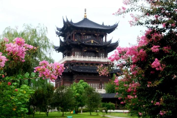 衢州市柯城区府山公园,府山公园最新状况