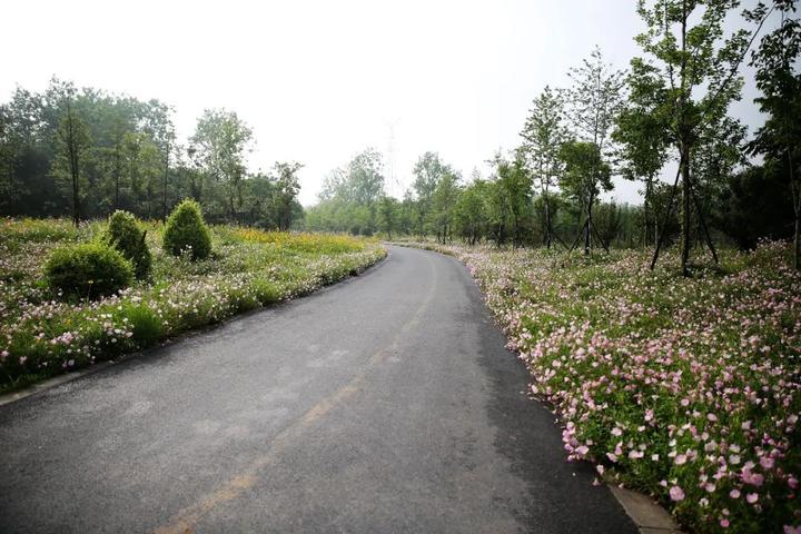 衢州市柯城区府山公园,府山公园最新状况