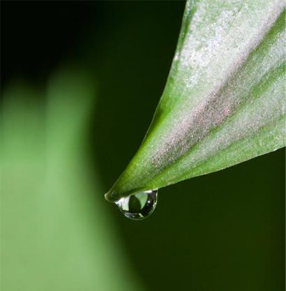 【节气养生】今日白露，养生要点看过来