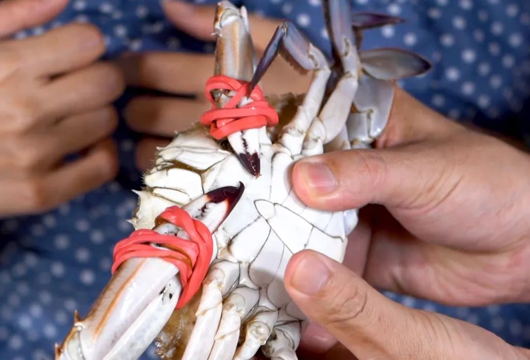 青岛二十四节气白露,二十四节气里的青岛