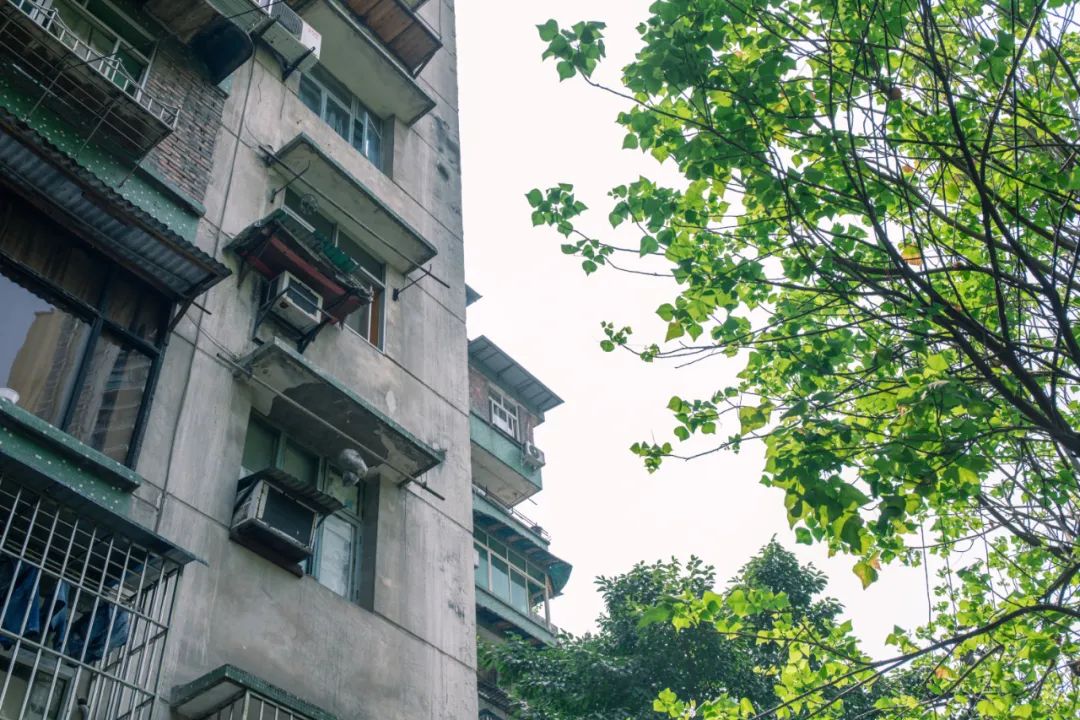 南坪西路拆迁最新消息,搬迁倒计时4天