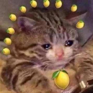 3ce到底好不好用,3ce每个系列的区别