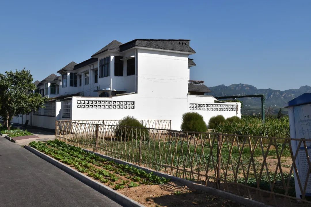 市委书记下乡视察乡办小学,市委书记到乡镇小学视察全集