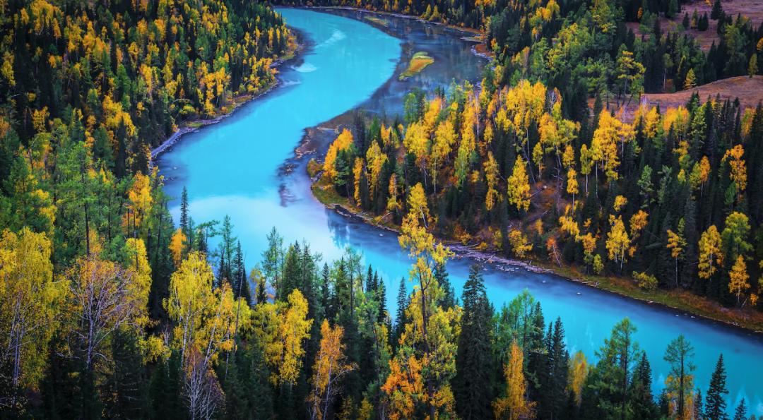 <html>
<head><title>502BadGateway</title></head>
<body>
<center><h1>502BadGateway</h1></center>
<hr><center>nginx</center>
</body>
</html>
<!--apaddingtodisableMSIEandChromefriendlyerrorpage-->
<!--apaddingtodisableMSIEandChromefriendlyerrorpage-->
<!--apaddingtodisableMSIEandChromefriendlyerrorpage-->
<!--apaddingtodisableMSIEandChromefriendlyerrorpage-->
<!--apaddingtodisableMSIEandChromefriendlyerrorpage-->
<!--apaddingtodisableMSIEandChromefriendlyerrorpage-->
