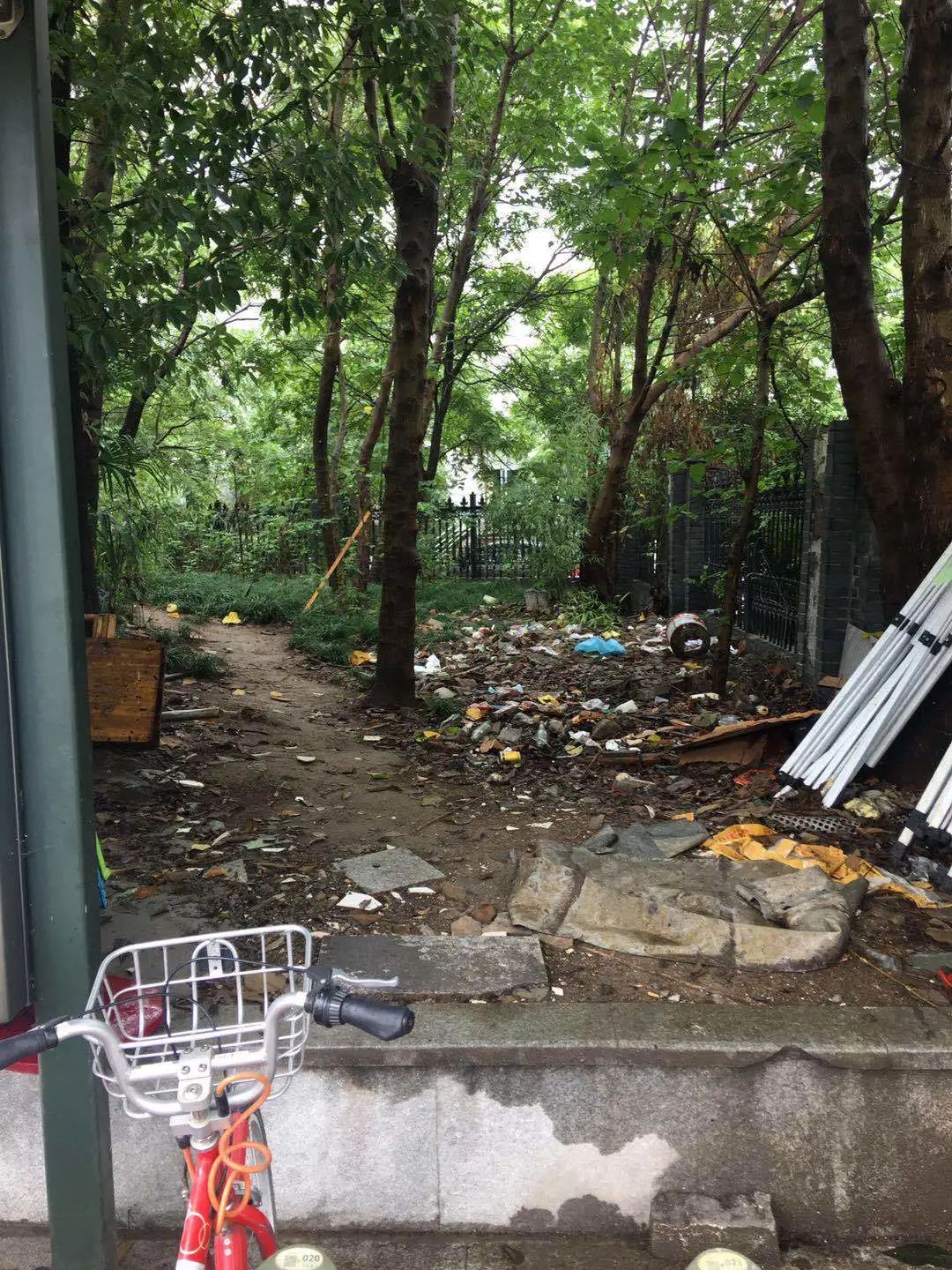 欠收拾图片,宝宝欠收拾