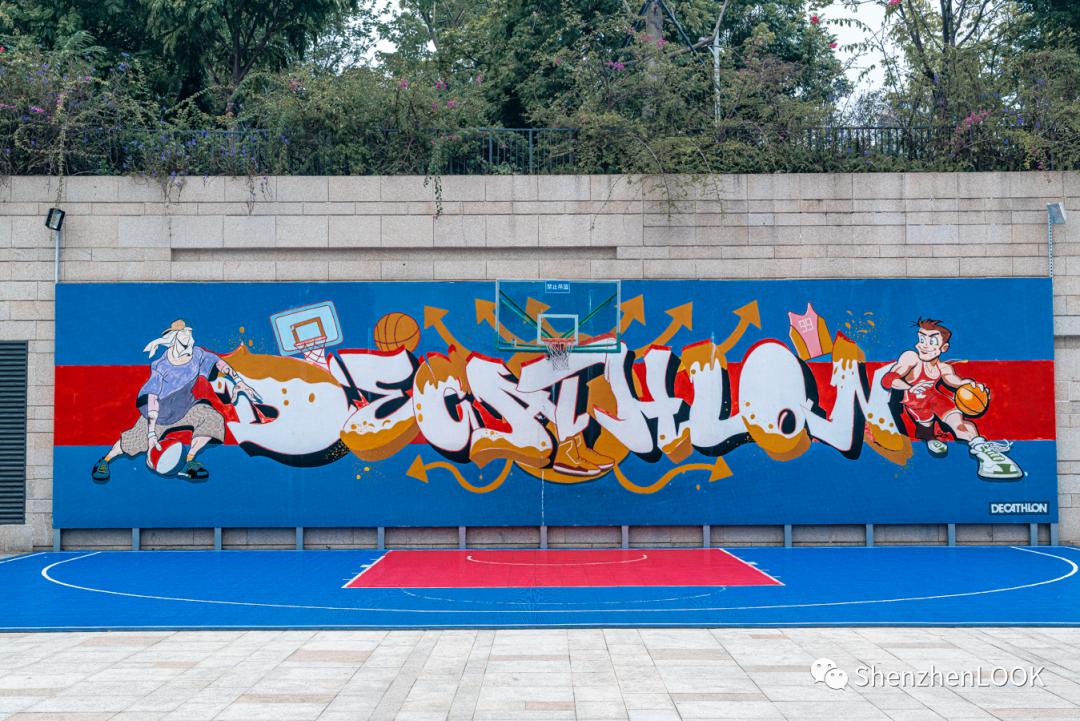 龙岗中心城实况,龙岗中心城全景