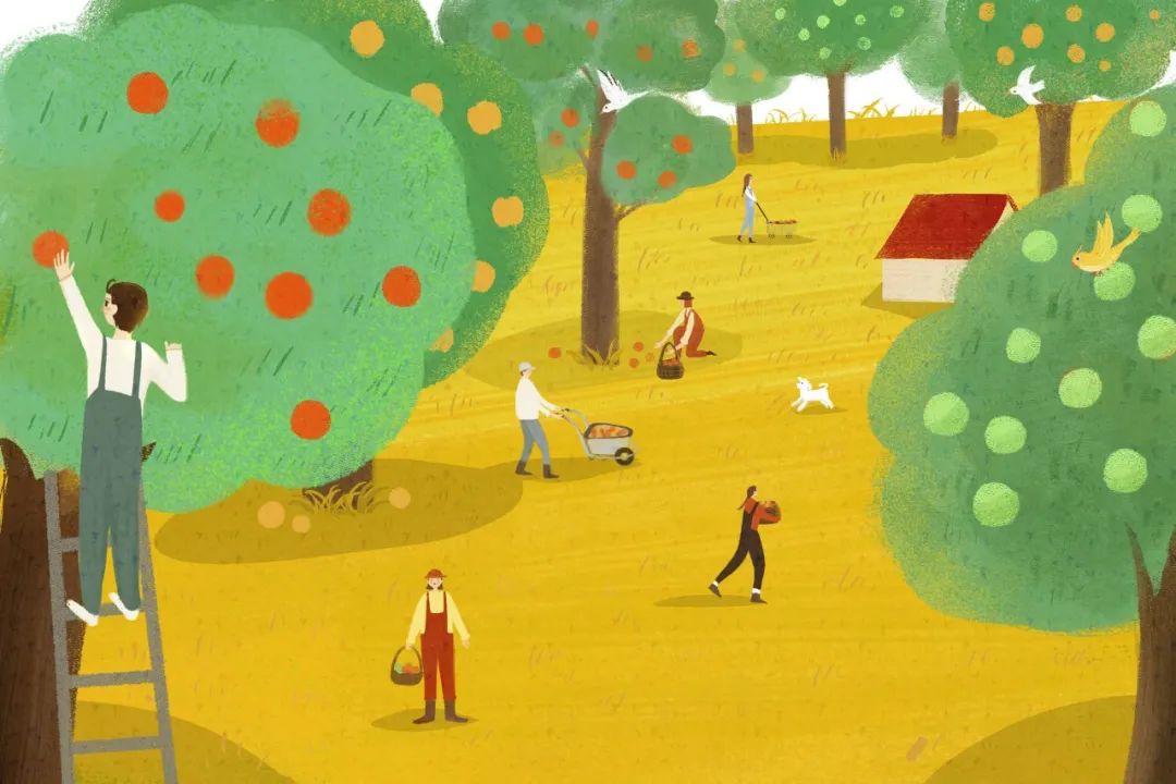 24节气秋分的小知识,关于秋分节气的常识