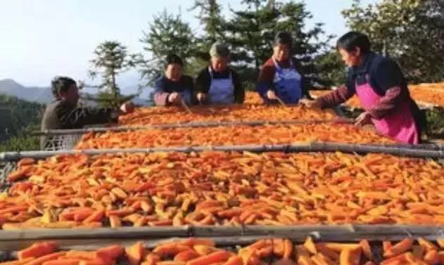 泰和特产牛皮糖,江西吉安泰和土特产牛皮糖