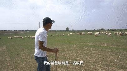 网约车司机送四个孩子,一个网约车司机带走三个女孩