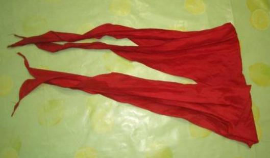 队徽改字,少先队队徽的改变