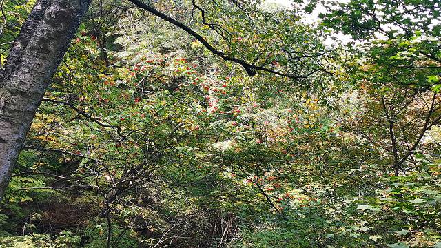 涞水野三坡旅游攻略,涞水白草畔自然风景区野三坡