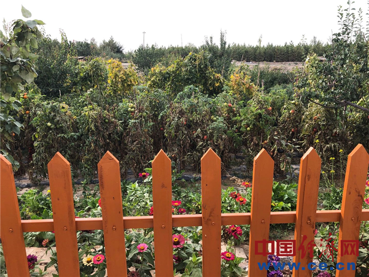 嘉峪关旧貌改造,嘉峪关市旧房改造翻新