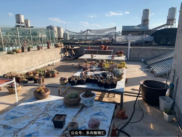 浠庝簯鍗楄繃鏉ュ箍涓滅殑澶氳倝,閬囪澶氳倝鎰熸仼鐢熷懡涓墍鏈夌殑鐩歌瘑