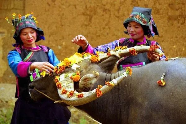 印迹·*安瓮**｜“佛诞日”、“牛王诞”、“祈嗣日”、“药王会”你知道是哪天吗？