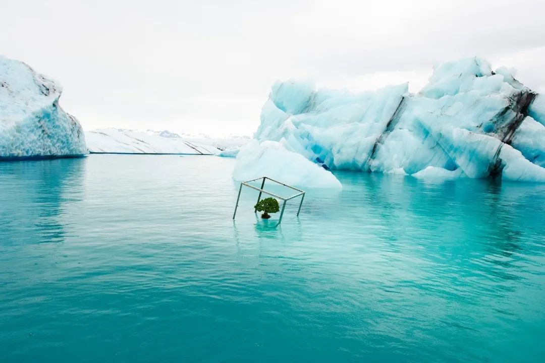 他是日本著名“花花公子”，拈花惹草只为极致的美