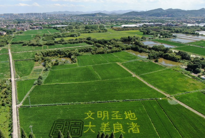 刘敏雷佳音,雷佳音和贾玲用家乡语言表演